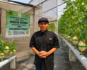 Ketua Harian Jagatara Indonesia Tinjau Greenhouse Melon Terbesar di Magetan